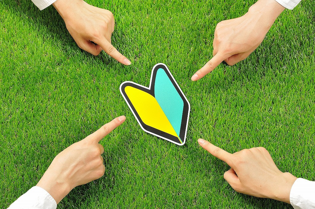 現場で学ぶ若手スタッフ